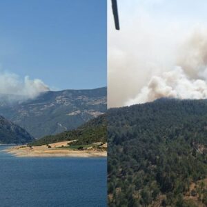 sinopta orman yangini evler tahliye ediliyor 5eOqK8nX