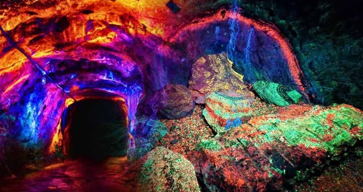 dunyanin en buyugu her yil 40 bin kisi akin ediyor neon yesilleri atesli turuncular ve derin morlari gormek icin can atiyorlar cCykxwhY