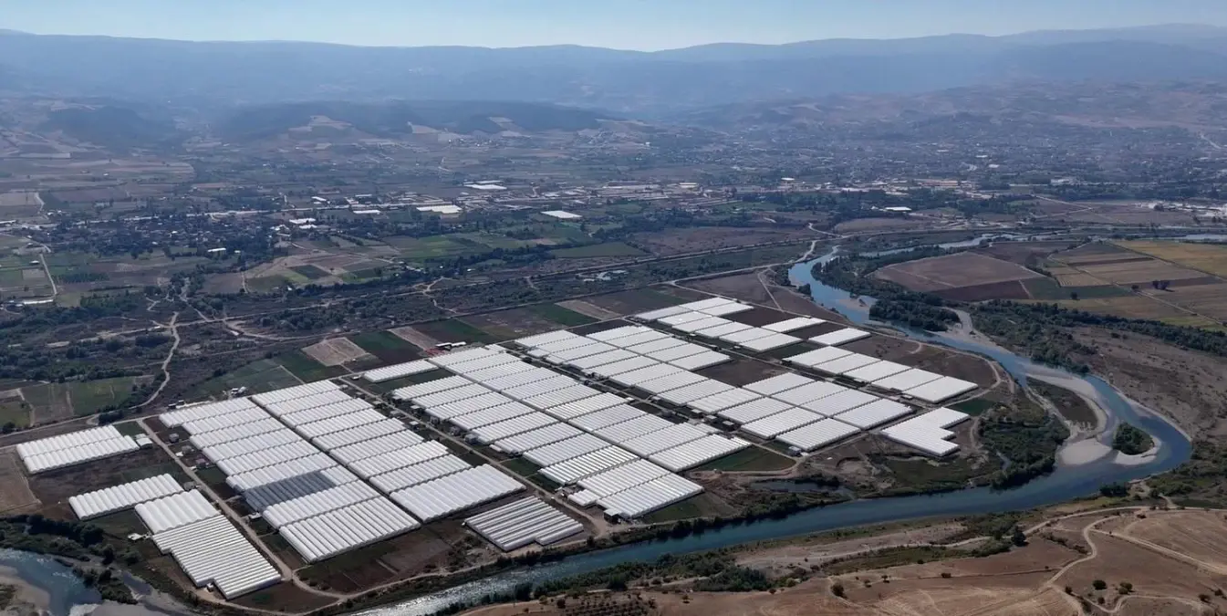 erbaada kesme cicek uretimi artiyor 7NLiBlXu