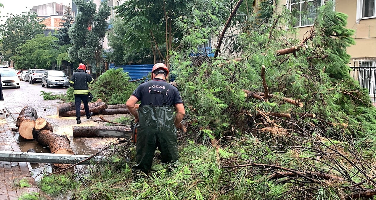 saganak devrilen agac yolu kapatti rLzpDMA1