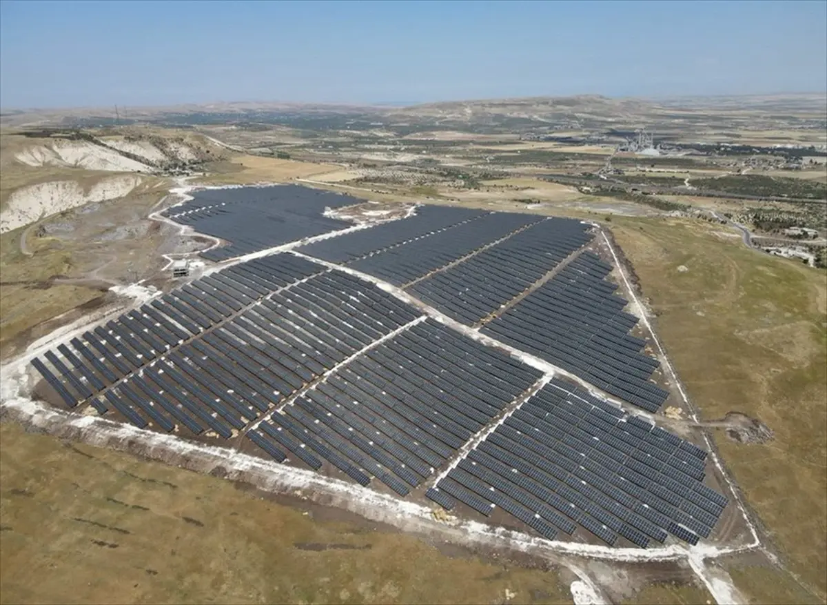 nesli tukenme tehlikesindeki cizgili sirtlan goruntulendi wF2Ecz12