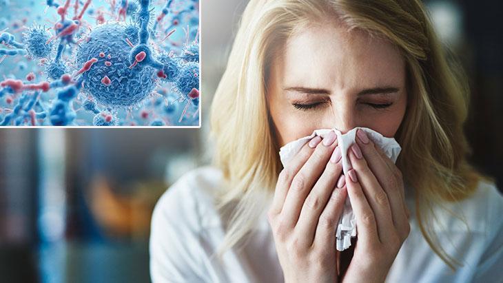 salginlar artiyor korunmanin anahtari mikrobiyotamizda kisa girmeden 3 bilincli adim HuCtYSNJ.jpg