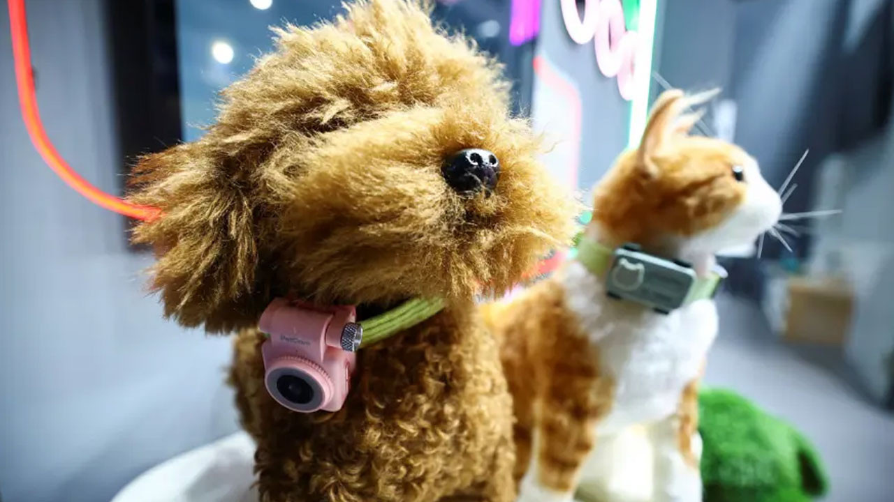 Evcil hayvanlar için akıllı telefon