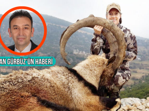 Muglada 2026 2027 av turizmi sezonu kapsaminda yaban kecisi avlamak isteyenler 750 bin ile 15 Hfdb4FEx
